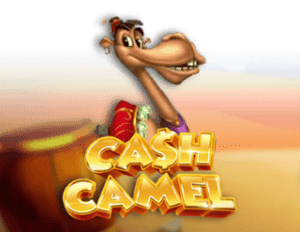 Cash Camel