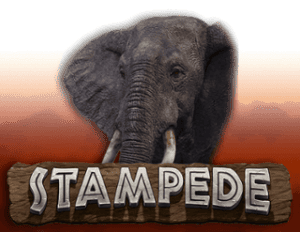Stampede