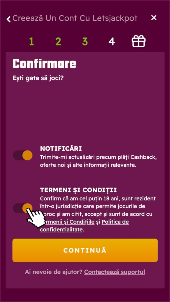 Acceptarea termenilor și condițiilor organizatorului